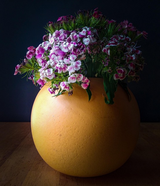 Flor, Jarrón, Naturaleza, Decoración
