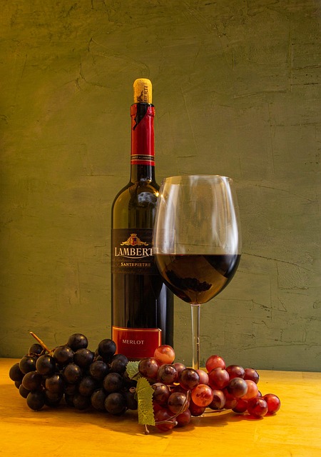Vino, Uvas, Beber, Bebida Alcohólica