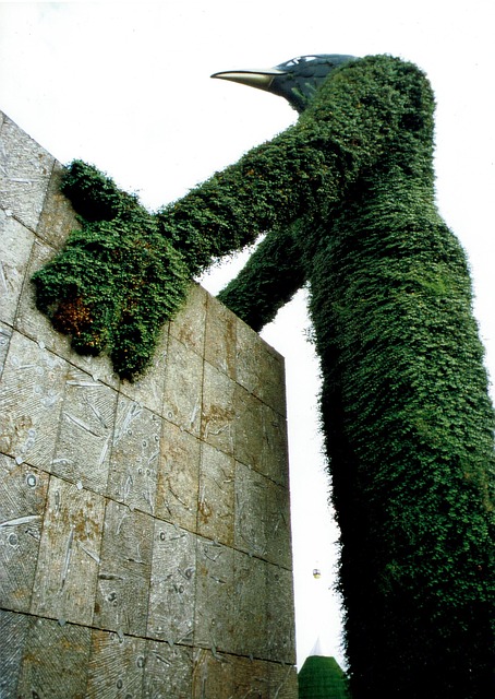 Free Wall Leaves photo and picture