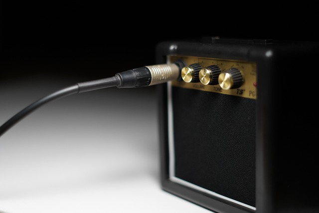 Free Amplifier Guitar photo and picture