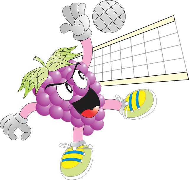 Download free HD stock image of Grape Ball Free grape ball volleyball vector