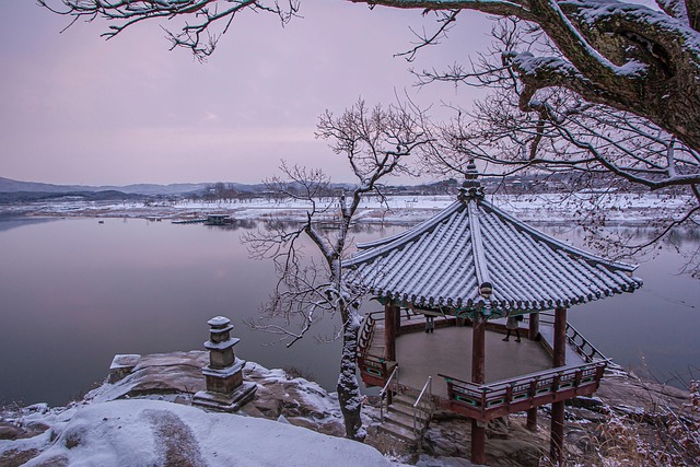 Free Snow Winter photo and picture
