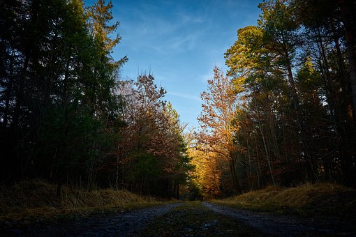 Free Path Road photo and picture
