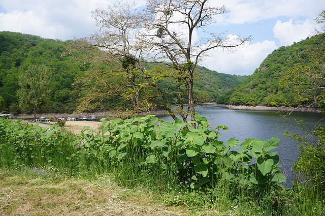 Free France Lake photo and picture