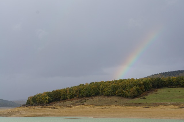 Free Rainbow Forest photo and picture