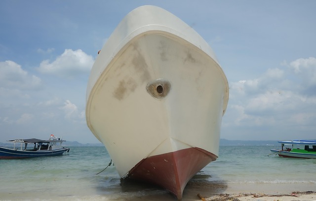 Free Ship Container photo and picture