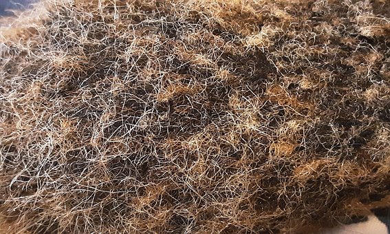 Pelo, Brown, Heno, Manojo, Desconocido