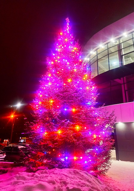 Free Newyear Chrismas photo and picture