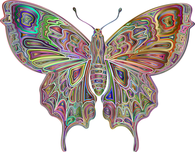 Insekt, Schmetterling, Abstrakt