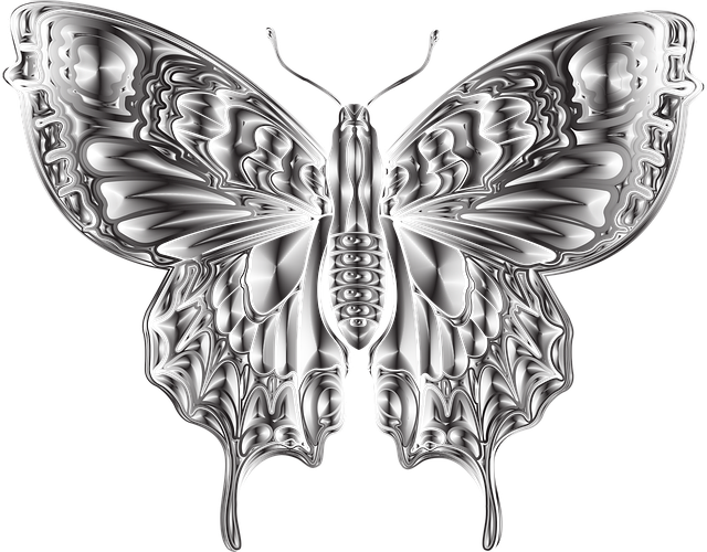 Free insect entomology butterfly vector