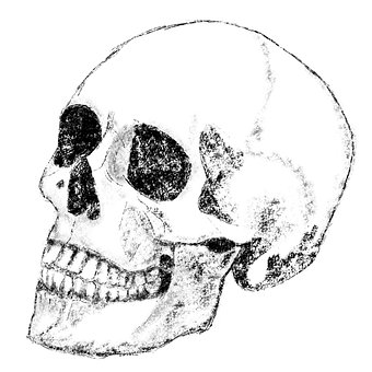 Free Skull And Crossbones Skull photo and picture
