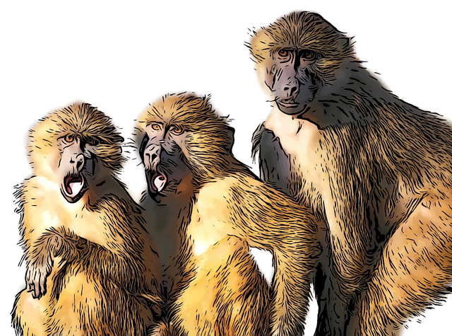 Free baboon primate monkey illustration