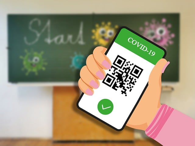 Download free HD stock image of Vaccination Certificate Covid-19 Free vaccination certificate covid-19 cellphone illustration
