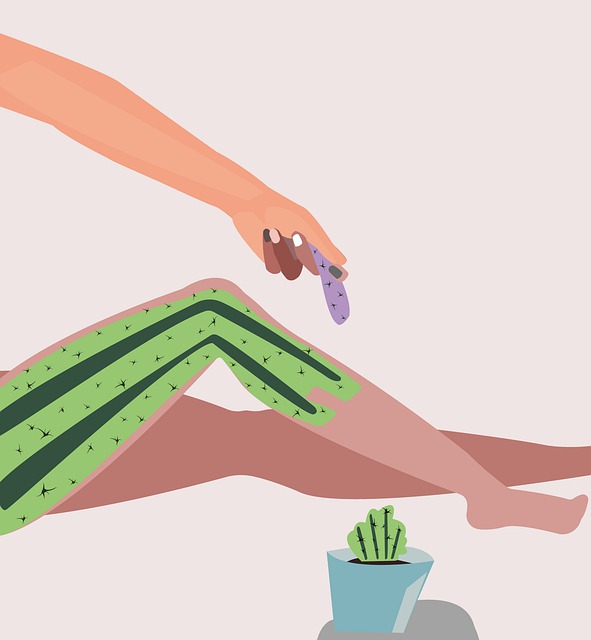 Kaktus, Haar, Epilation, Wachs