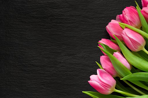 Free Flowers Frame photo and picture