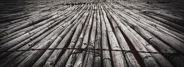 Free Reed Nature photo and picture