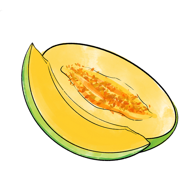 Free Fruit Melon illustration and picture