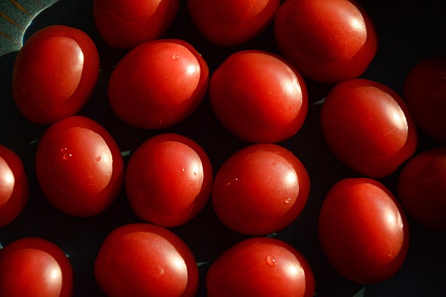 Free Tomatoes Vegetables photo and picture
