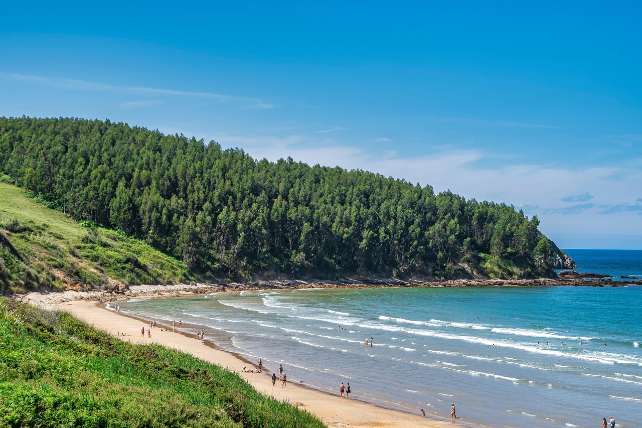 Playa Mar Bosque Foto Gratis En Pixabay