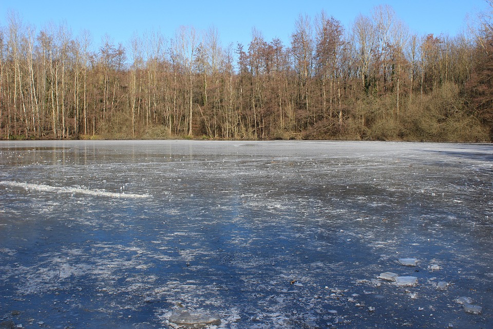 Ice Rink Frozen Frost Free photo on Pixabay Pixabay