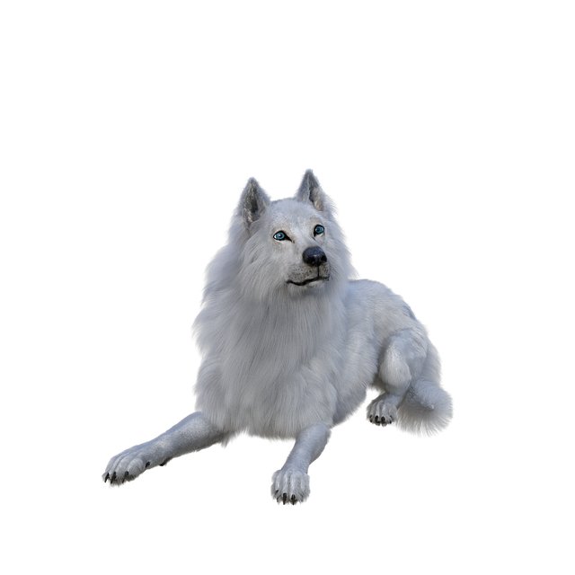 Free wolf dog pet illustration