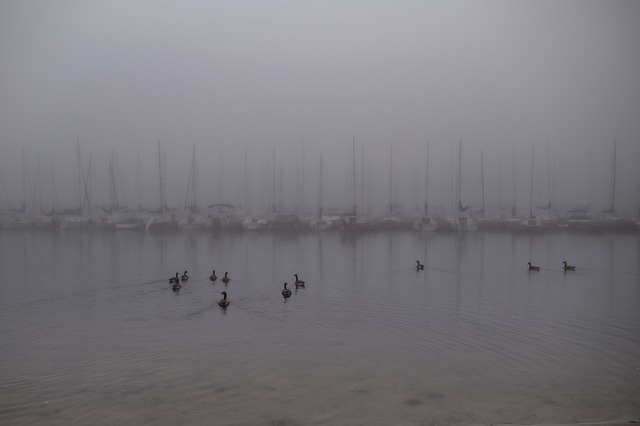 Silueta, Agua, Navegar, Río, Niebla