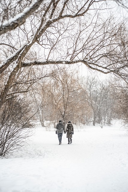 Free Couple Nature photo and picture
