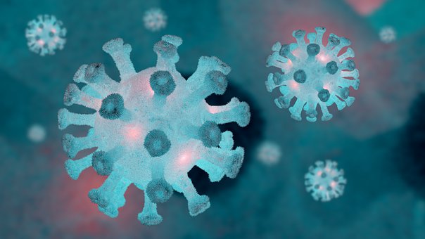 Patogen, Coronavirus, Infecţie, Boală