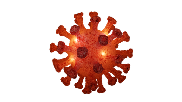 Patogen, Coronavirus, Infecţie, Boală