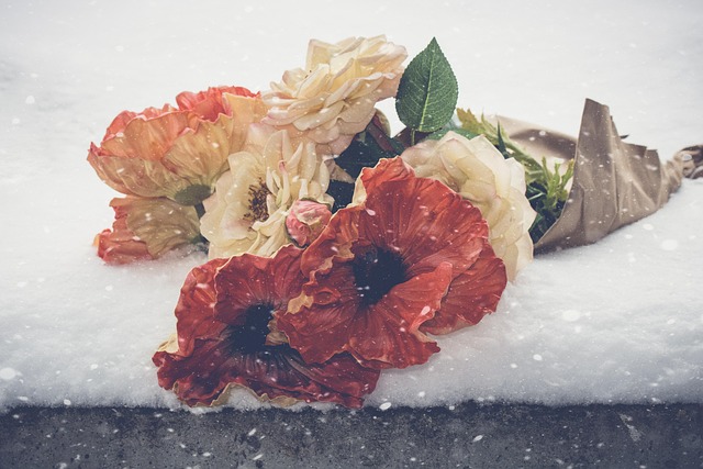 Bouquet, flowers, poppies and roses — photo by JamesRonin