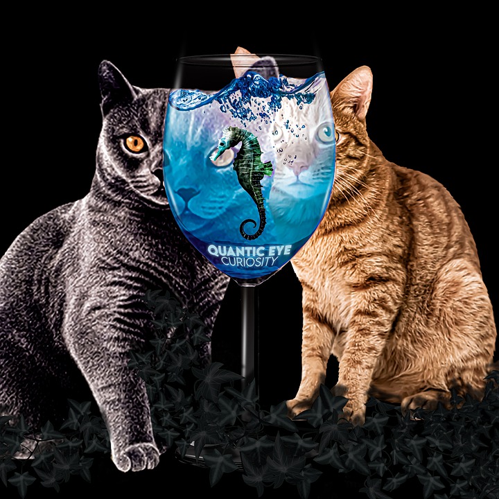 Carafe à Eau En Verre Borosilicate Avec Hippocampe à L'Intérieur - Design Original Pour Déco Maison - 30cm