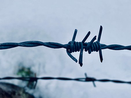 Free Barbed Wire Snow photo and picture