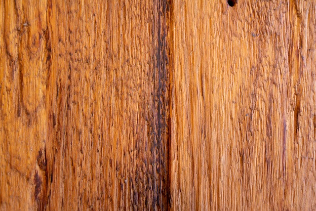 Free Wood Texture photo and picture