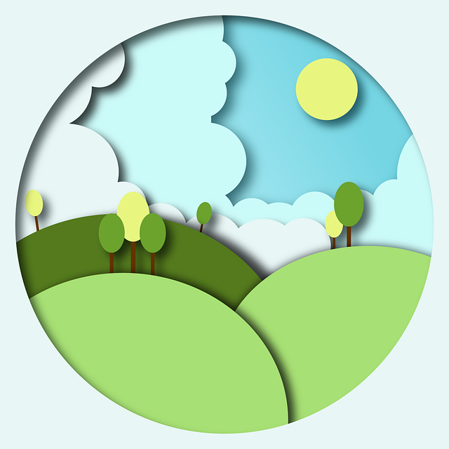 Buchen, Bild, Natur, Wald, 3D