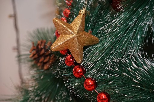 Free Herringbone Spruce photo and picture