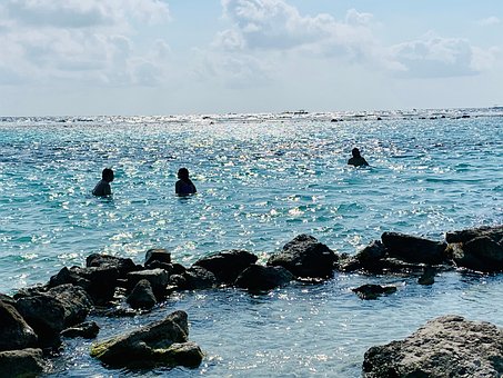 Free Summer Memories photo and picture