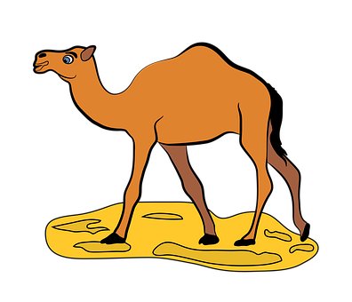 Kamel, Dyr, Ørken, Pattedyr, Natur