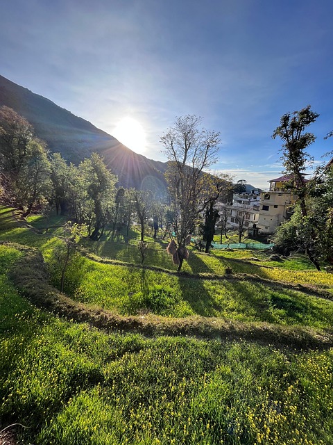 Free Hillside Mountains photo and picture