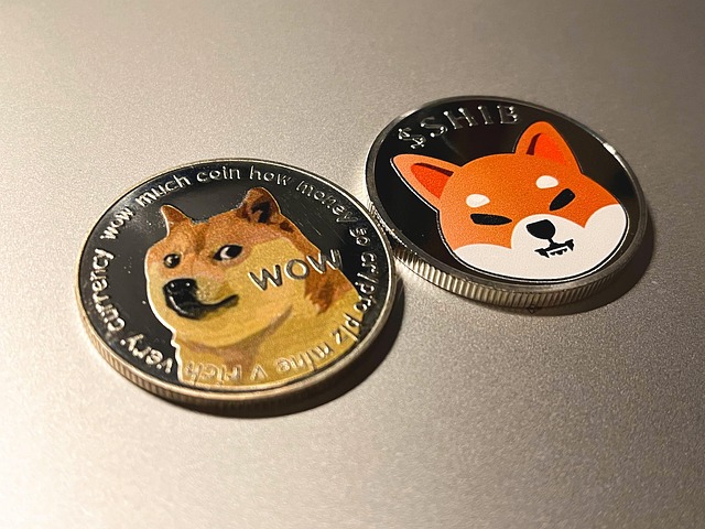 Doge, Dogecoin, Shib, Shib Inu, Cripto