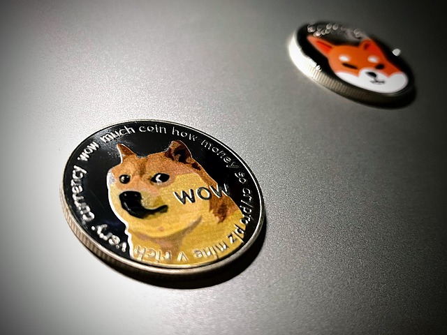 Doge, Dogecoin, Shib, Shib Inu