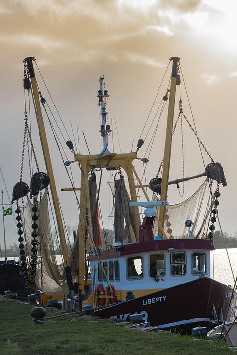 Hooked on Fishing: A New Angler’s Guide to Success