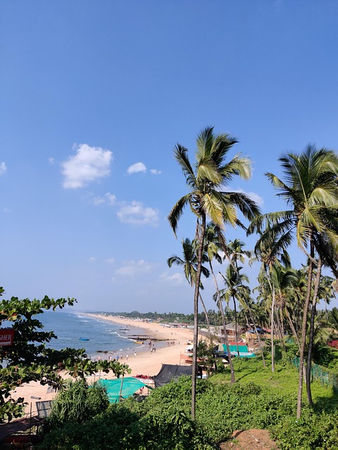 Free Beach Sky photo and picture