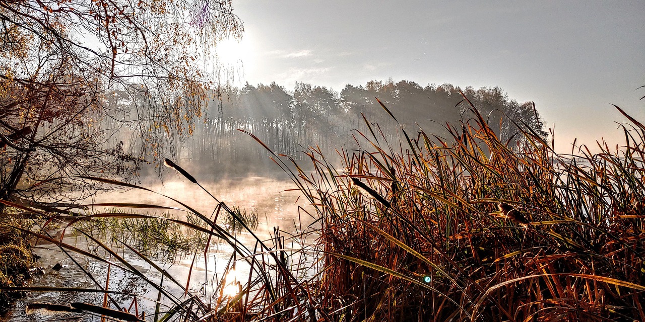 Lake - free online jigsaw puzzle photo