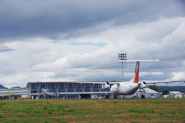 필리핀 필리핀항공 공항 Pixabay의 무료 사진 Pixabay