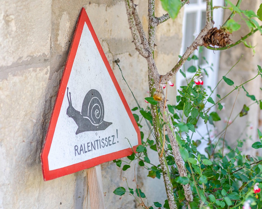 arte di rallentare