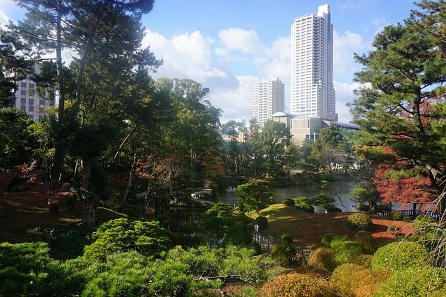 Free Garden Japan photo and picture