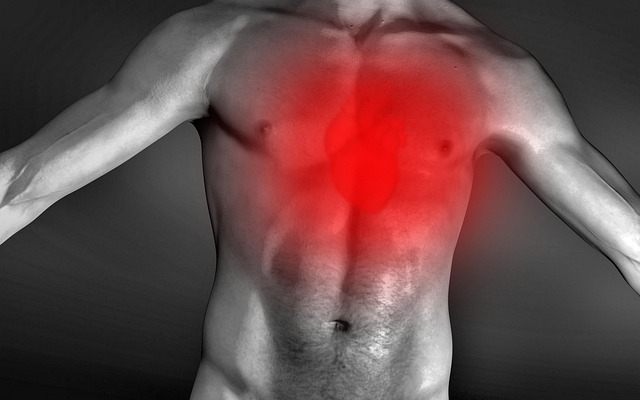 Free Chest Heart photo and picture