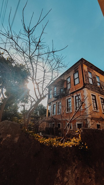 Free Building House photo and picture