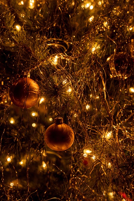 Free Christmas Tree Holiday photo and picture
