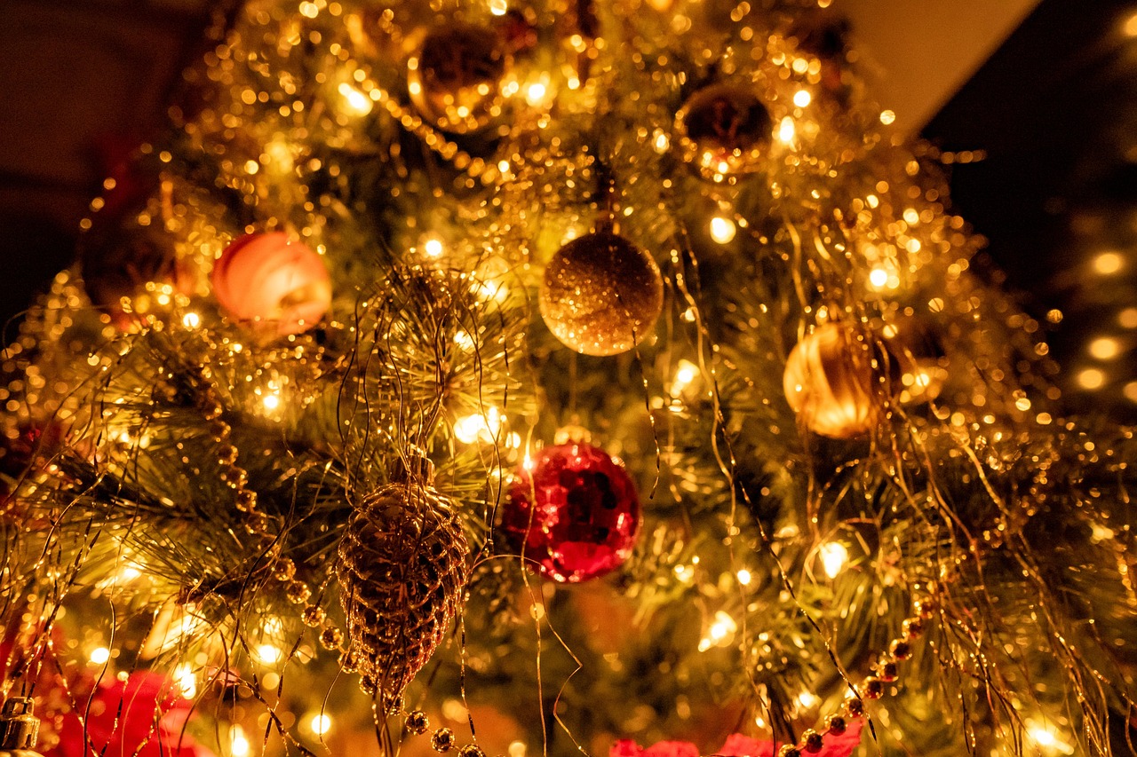 Christmas Tree Holiday Season Free photo on Pixabay Pixabay